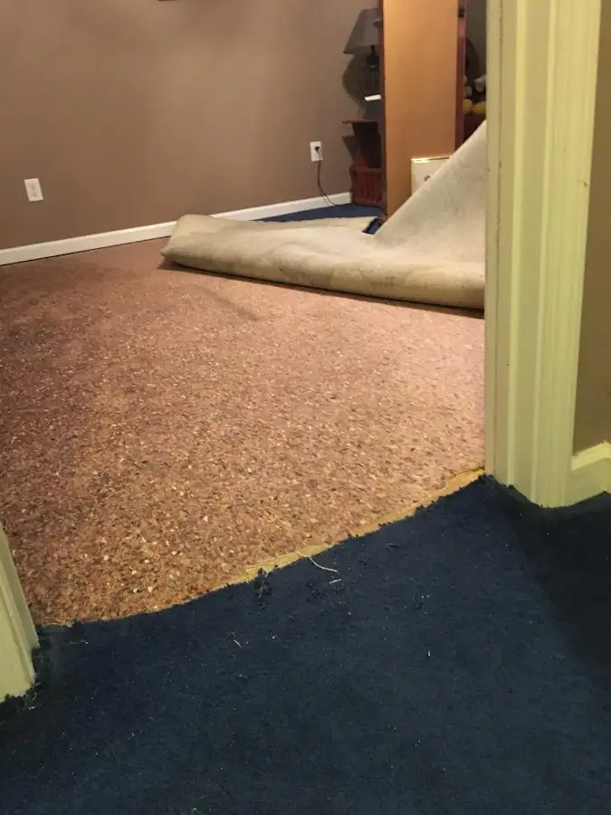 Carpet pad removal revealing water damage during Drying & Dehumidification in Schriever
