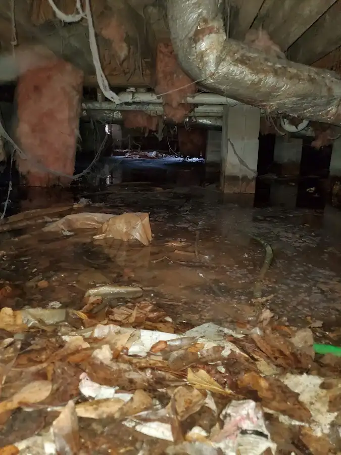 Crawl space flood assessment for Leak Detection & Repair in Schriever